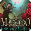 Žaidimas Maestro: Notes of Life Collector's Edition