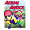 Žaidimas Aerial Antics