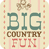Žaidimas Big Country Fun