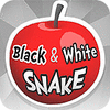 Žaidimas Black And White Snake