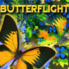 Žaidimas Butterflight