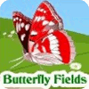 Žaidimas Butterfly Fields