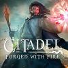 Žaidimas Citadel: Forged with Fire