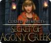 Žaidimas Cursed Memories: The Secret of Agony Creek