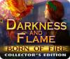 Žaidimas Darkness and Flame: Born of Fire Collector's Edition