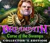 Žaidimas Dreampath: Curse of the Swamps Collector's Edition