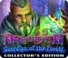 Žaidimas Dreampath: Guardian of the Forest Collector's Edition