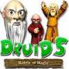 Žaidimas Druid's Battle of Magic