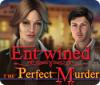 Žaidimas Entwined: The Perfect Murder