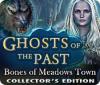Žaidimas Ghosts of the Past: Bones of Meadows Town Collector's Edition