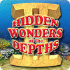 Žaidimas Hidden Wonders of the Depths 2