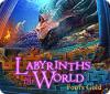 Žaidimas Labyrinths of the World: Fool's Gold
