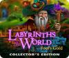 Žaidimas Labyrinths of the World: Fool's Gold Collector's Edition