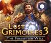 Žaidimas Lost Grimoires 3: The Forgotten Well