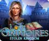 Žaidimas Lost Grimoires: Stolen Kingdom