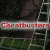 Žaidimas Cheatbusters
