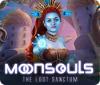 Žaidimas Moonsouls: The Lost Sanctum