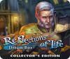 Žaidimas Reflections of Life: Dream Box Collector's Edition