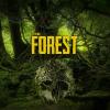 Žaidimas The Forest