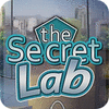 Žaidimas The Secret Lab