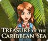 Žaidimas Treasure of the Caribbean Seas