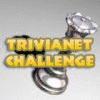 Žaidimas TriviaNet Challenge