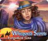 Žaidimas Whispered Secrets: Forgotten Sins
