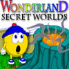 Žaidimas Wonderland Secret Worlds