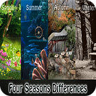 Žaidimas Four Seasons Differences