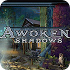 Žaidimas Awoken Shadows
