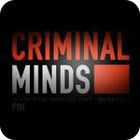 Žaidimas Criminal Minds