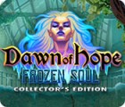 Žaidimas Dawn of Hope: The Frozen Soul Collector's Edition