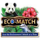 Žaidimas Eco-Match