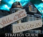 Žaidimas Hidden in Time: Looking-glass Lane Strategy Guide