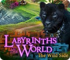 Žaidimas Labyrinths of the World: The Wild Side