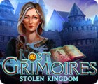 Žaidimas Lost Grimoires: Stolen Kingdom