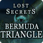 Žaidimas Lost Secrets: Bermuda Triangle