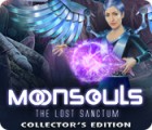Žaidimas Moonsouls: The Lost Sanctum Collector's Edition