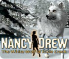 Žaidimas Nancy Drew: The White Wolf of Icicle Creek