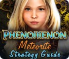 Žaidimas Phenomenon: Meteorite Strategy Guide