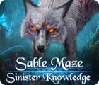 Žaidimas Sable Maze: Sinister Knowledge Collector's Edition