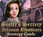 Žaidimas Sister's Secrecy: Arcanum Bloodlines Strategy Guide