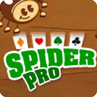 Žaidimas Spider Pro