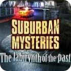 Žaidimas Suburban Mysteries: The Labyrinth of The Past