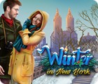 Žaidimas Winter in New York