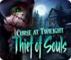 Žaidimas Curse at Twilight: Thief of Souls