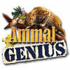 Žaidimas Animal Genius