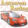Žaidimas Autocross Racing