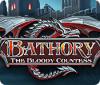 Žaidimas Bathory: The Bloody Countess