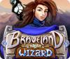 Žaidimas Braveland Wizard